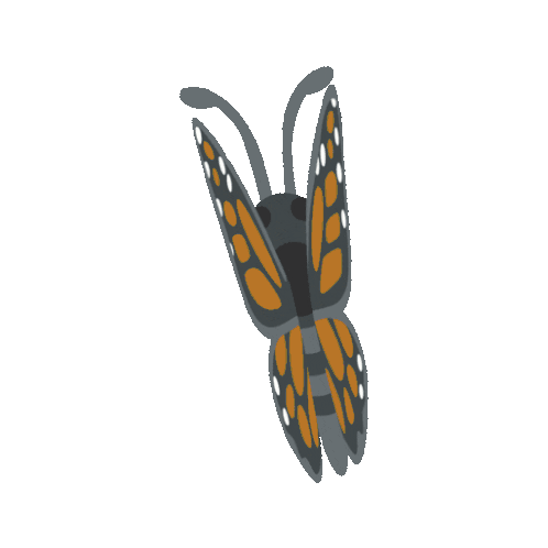 Monarch Butterfly